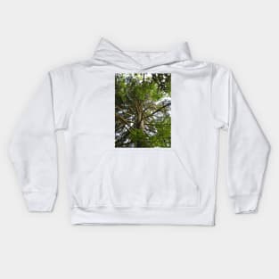 Mossy Tree Nature Photography Pacific Northwest Kids Hoodie